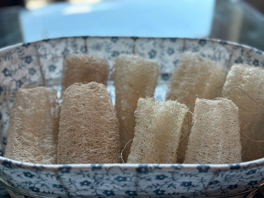 Luffa from the Garden – Nature’s Multi-Purpose Sponge